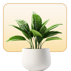 Indoor potted plants and flowers on wooden table with sunlight, home decor plant display