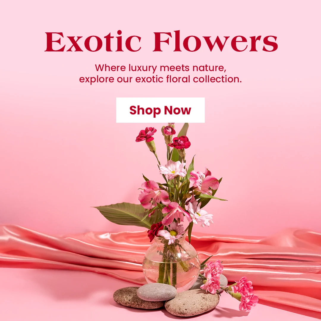 Exotic Flowers
