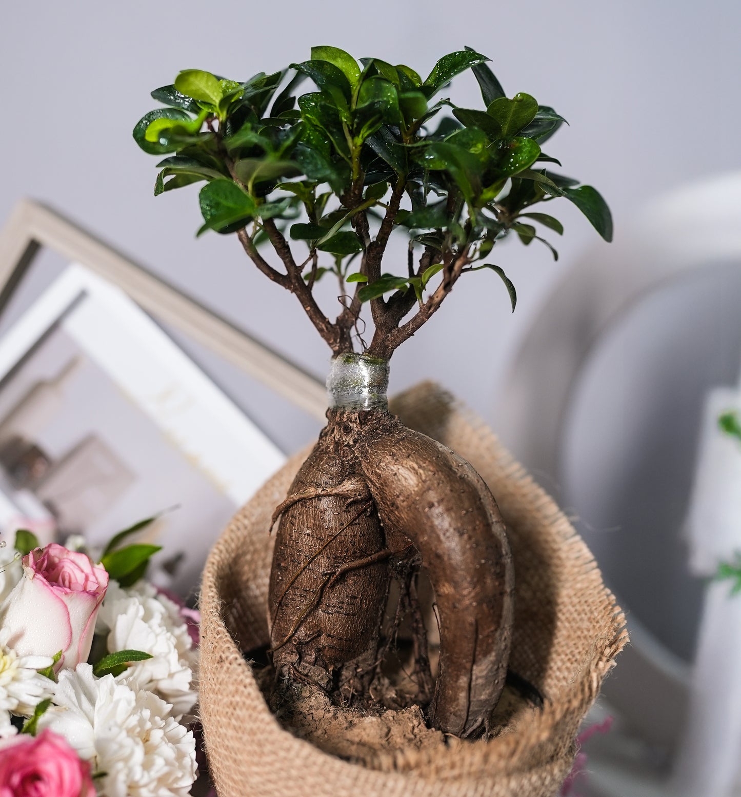 Rooted in Love Hamper