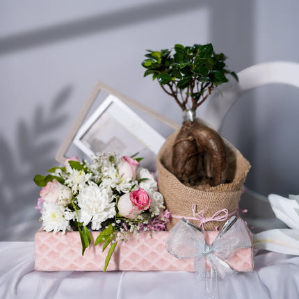 Rooted in Love Hamper