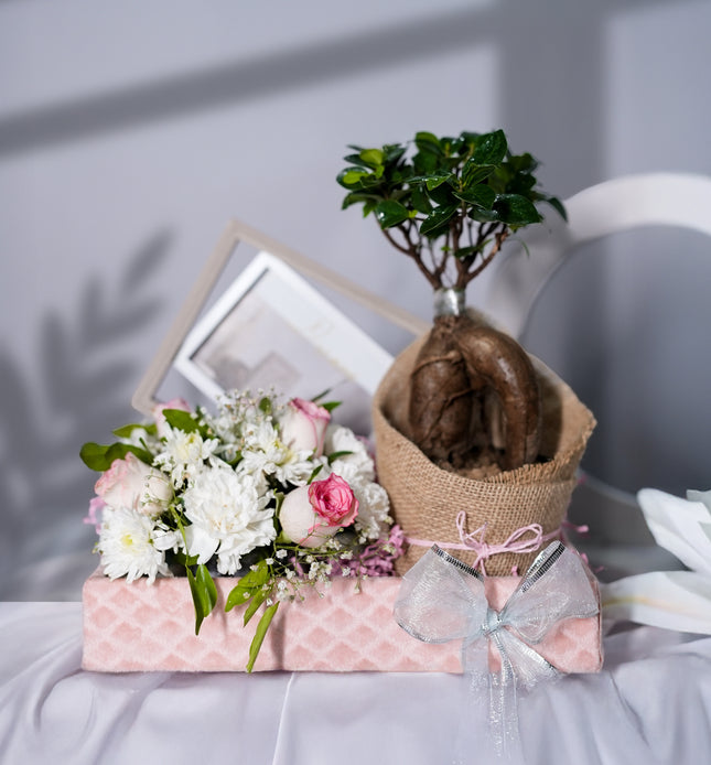 Rooted in Love Hamper