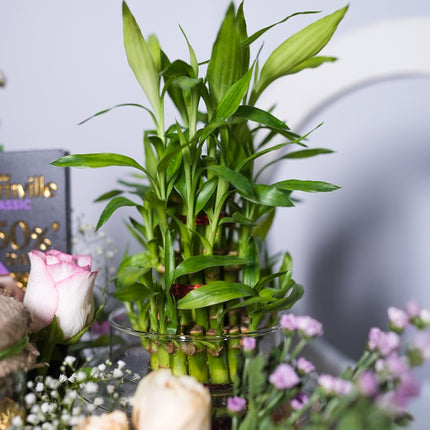 Lilac Luxe Box Hamper