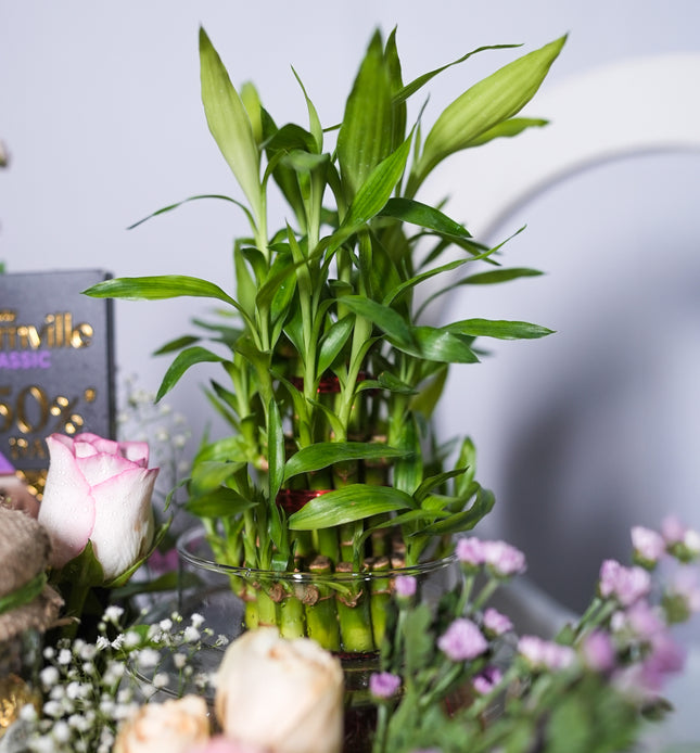 Lilac Luxe Box Hamper