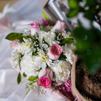 Rooted in Love Hamper