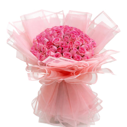 BNB Pink Mist Rose Elegance