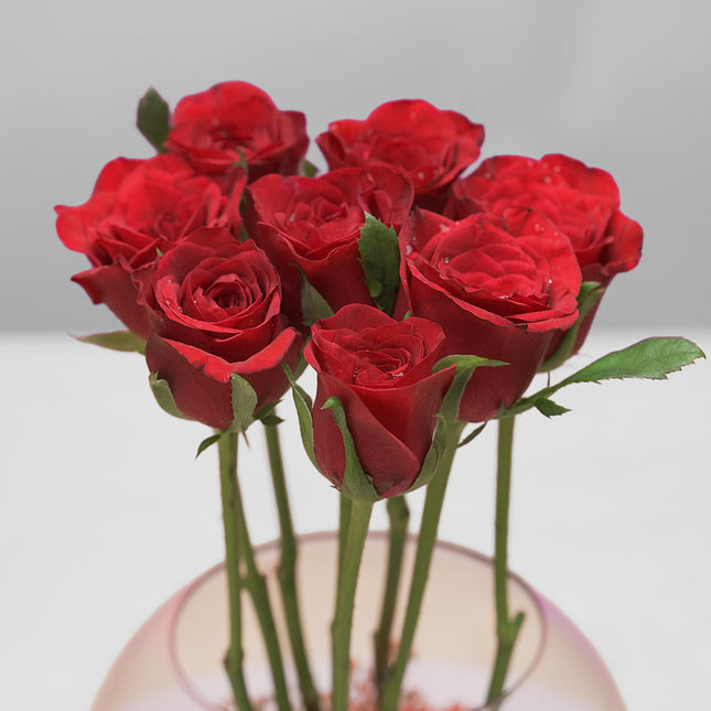 Bouquet of fresh red roses in a clear glass vase on a white background