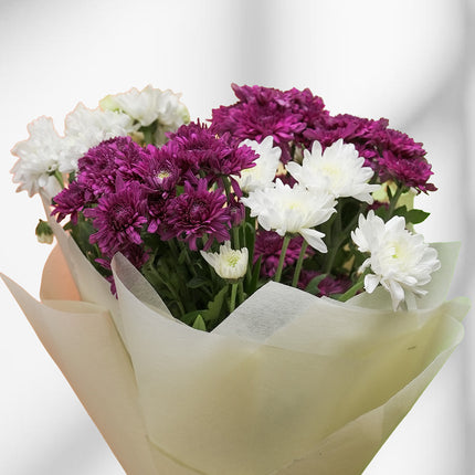 Bouquet of white and purple chrysanthemums wrapped in cream paper on a neutral background
