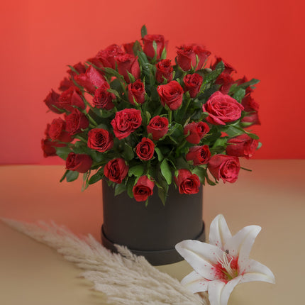 Bouquet of red roses in black round box with white lily and pampas grass, red backdrop