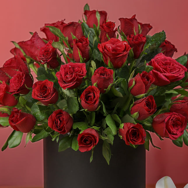 Bouquet of fresh red roses in a black box against a pink background