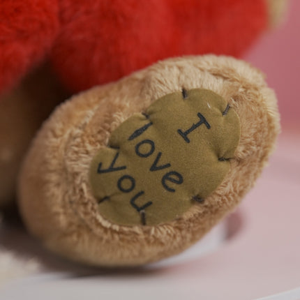 Close-up of teddy bear paw with stitched heart patch reading I love you