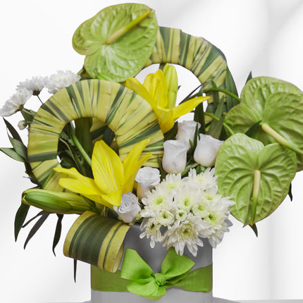 Tropical blush flower arrangement with green anthuriums, yellow lilies, white roses and chrysanthemums in a box with a green ribbon