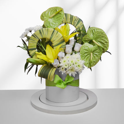 Tropical floral arrangement with green anthurium, yellow lilies, white roses in a round box with green bow